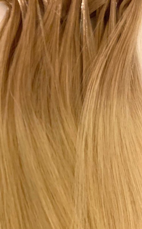 A close up of the hair color on a blonde woman.